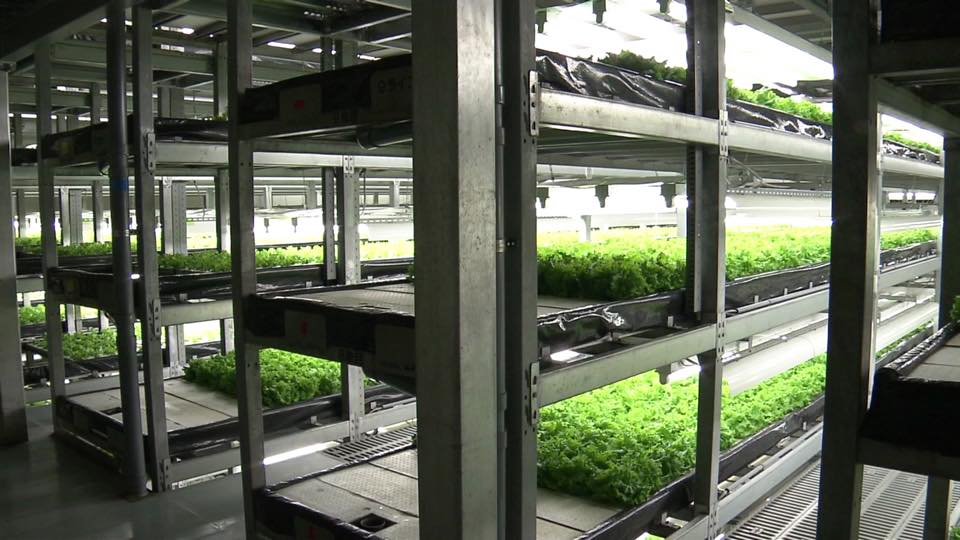 植物工場から考える「技術の評価」01