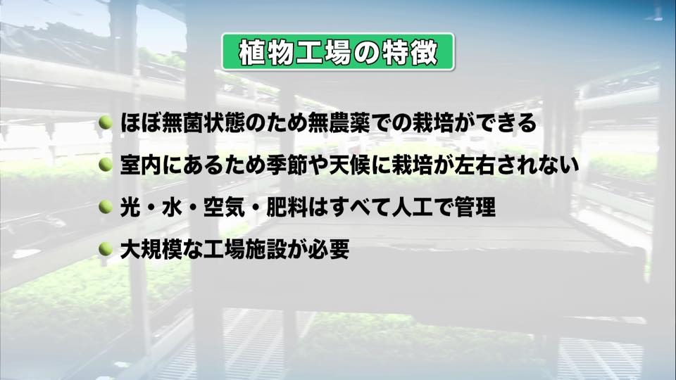 植物工場から考える「技術の評価」02